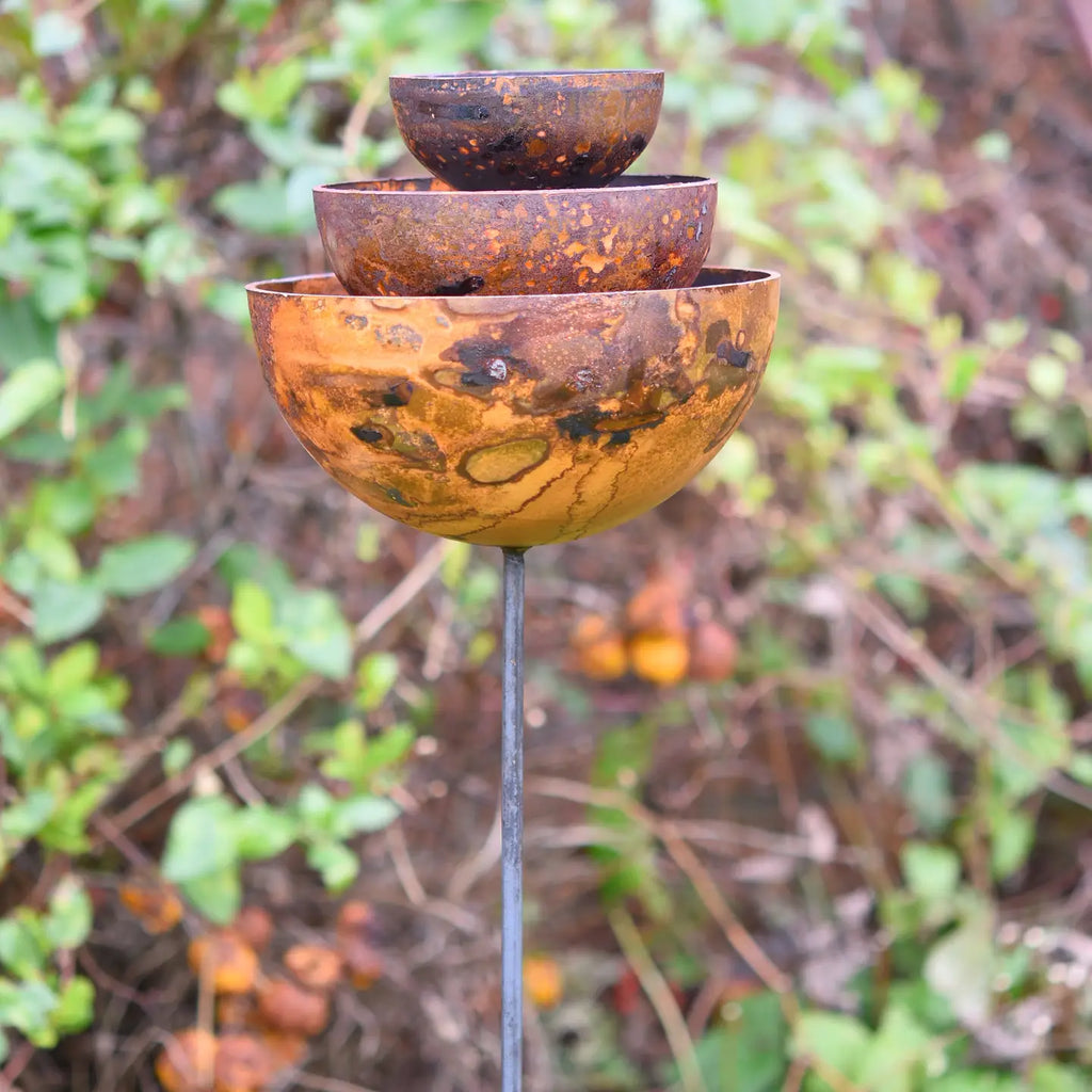 Rain Catcher Fountain
