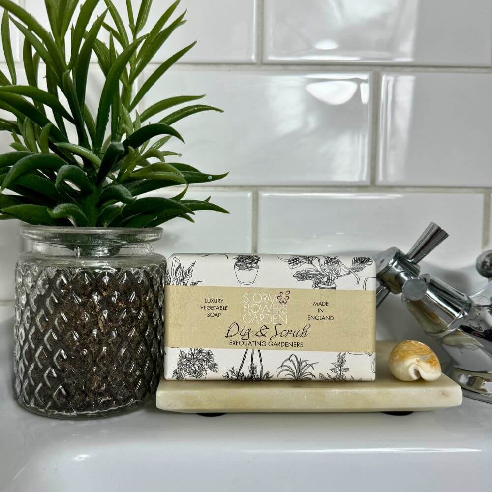 Dig and Scrub Exfoliating Soap Bar