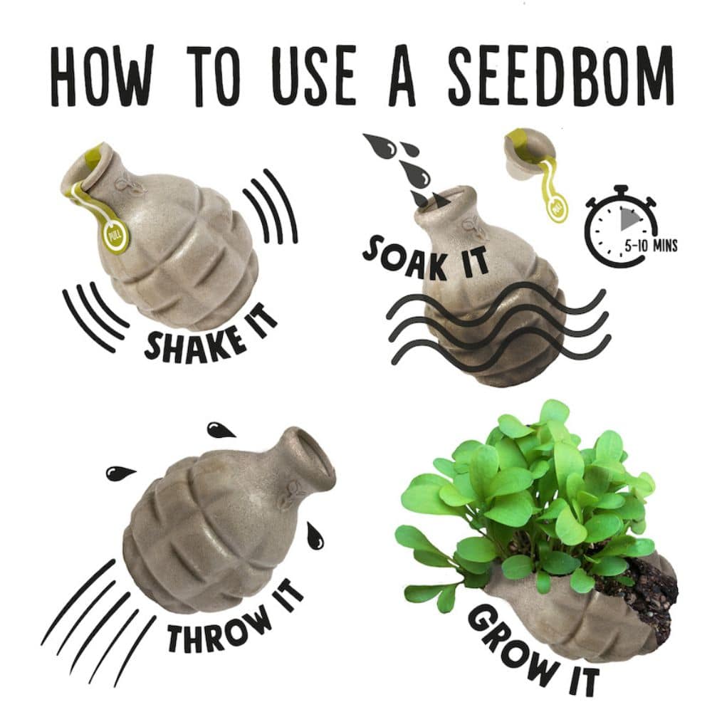 Kabloom Seedbom