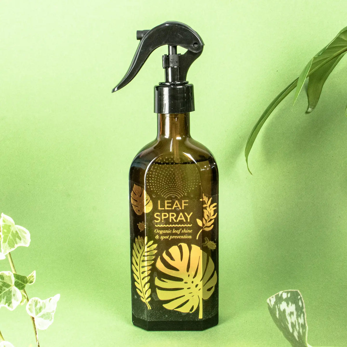Glass Spray Mister For Your Plants