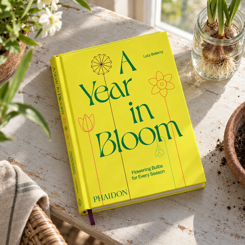 A Year in Bloom by Lucy Bellamy (Phaidon) on a garden room table with sprouting bulbs