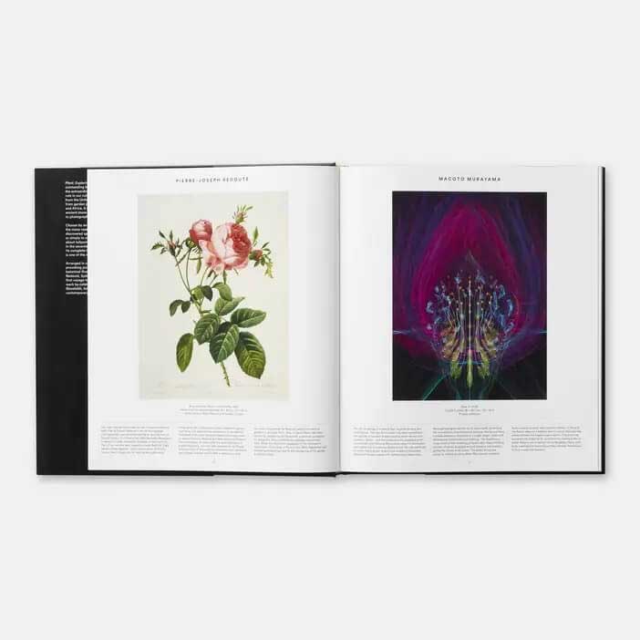 Plant: Exploring the Botanical World - Botanical Handbook