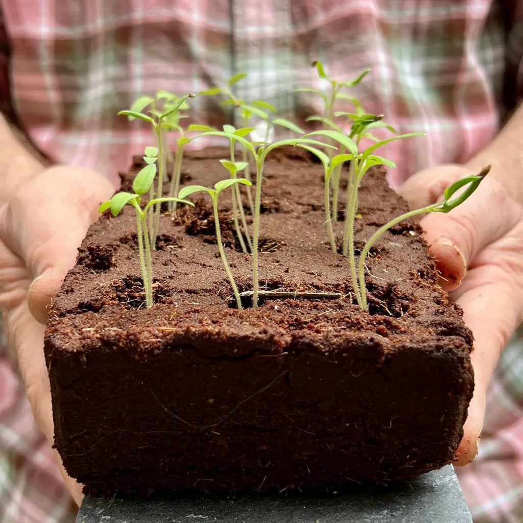 The Butterfly Growbar