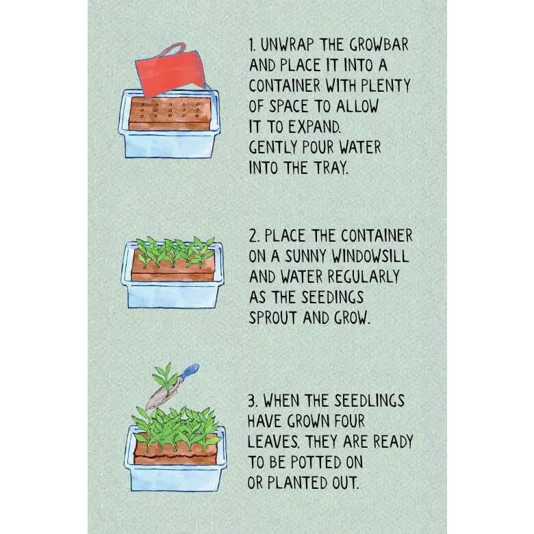The Edible Flower Growbar