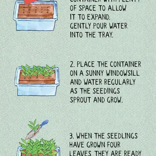The Cat Growbar