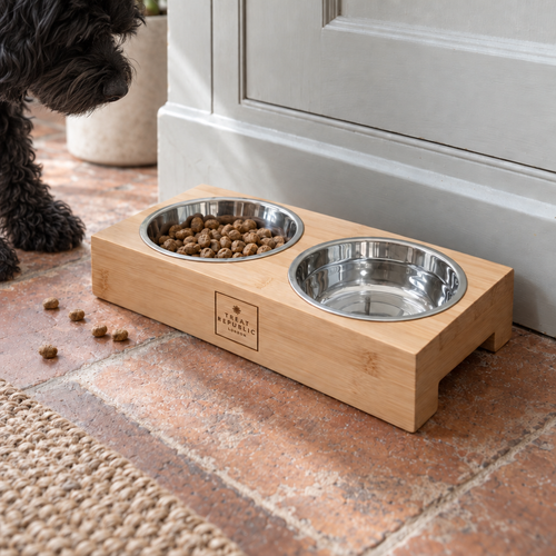 Bamboo Pet Bowl Set with a black curly cavapoo dog