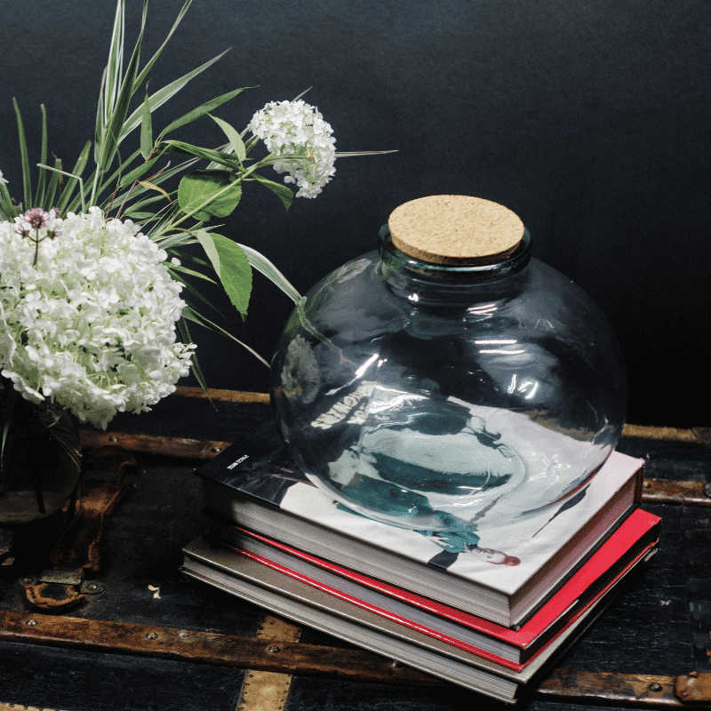Clear Glass Terrarium