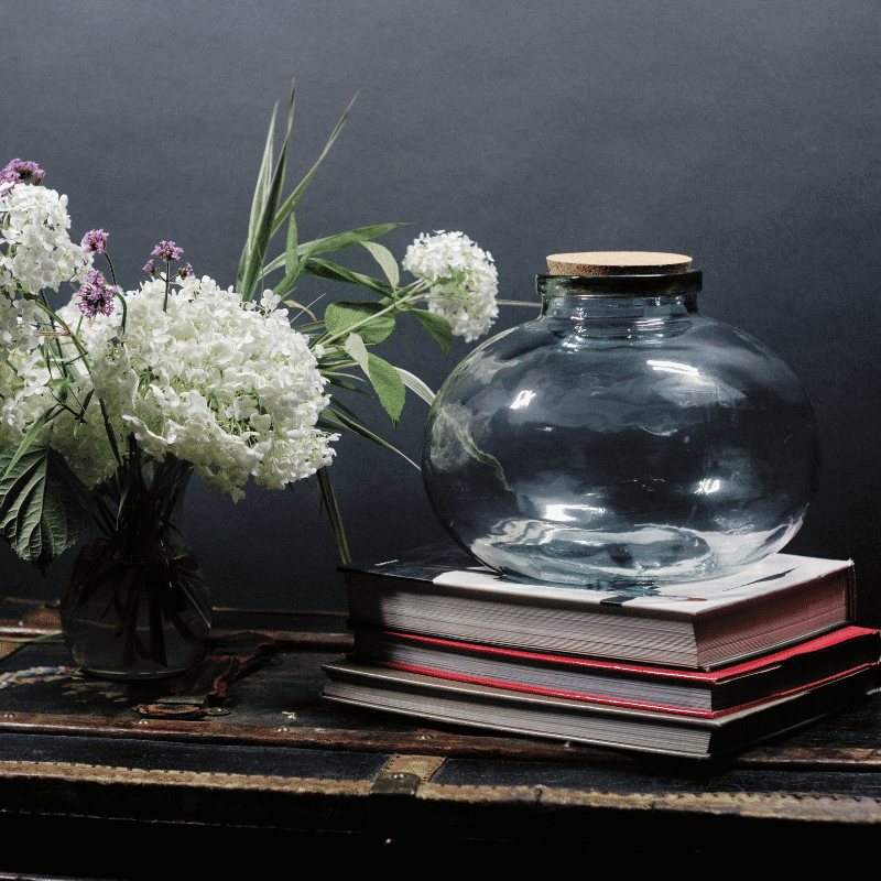 Clear Glass Terrarium
