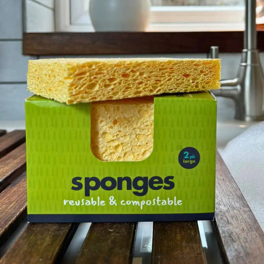 Compostable Sponges x2