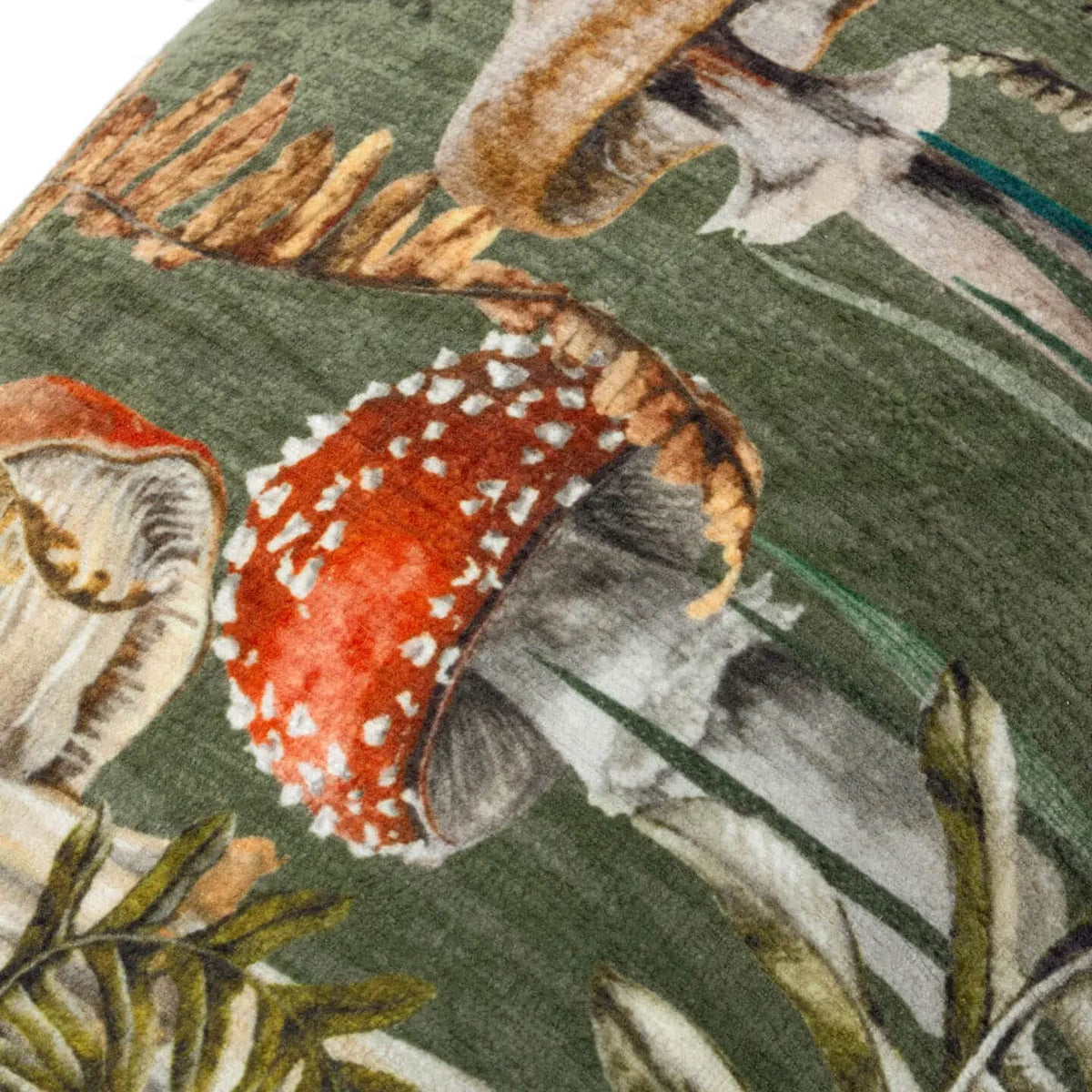 Kielder Forest Fungi Cushion Cover
