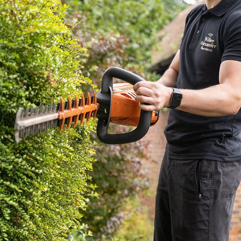 1 Hour Garden Tidy Gift Card