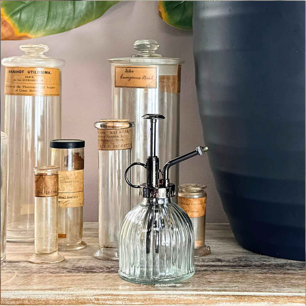 Glass Plant Sprayer