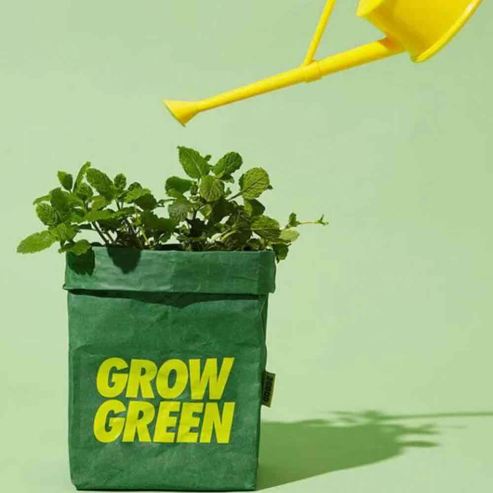 Grow Green Kit - Home Grown Hero