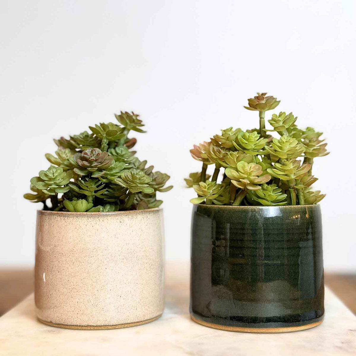 Handmade Mini Plant Pot