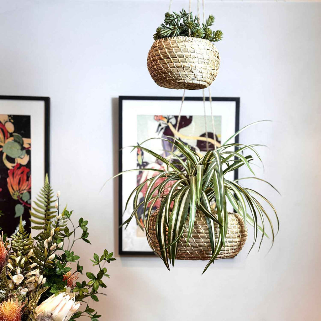 Set of 2 Sustainable Hanging Seagrass Planters