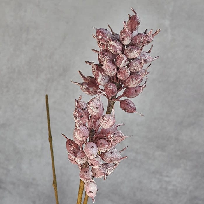 Abigail Ahern Heirloom Thistle Stem - Mauve - Artificial Flo