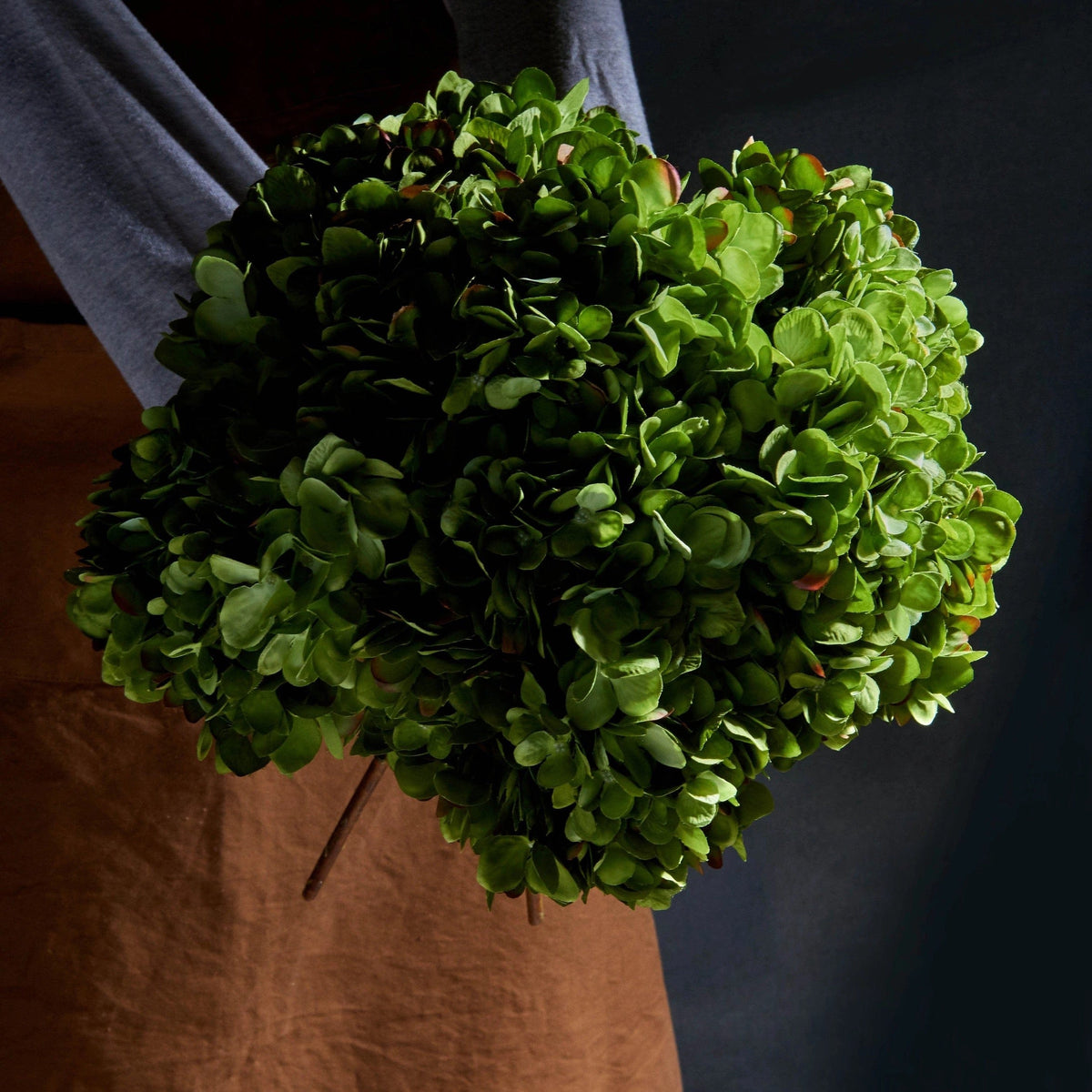 Abigail Ahern Hydrangea Green - Artificial Stem