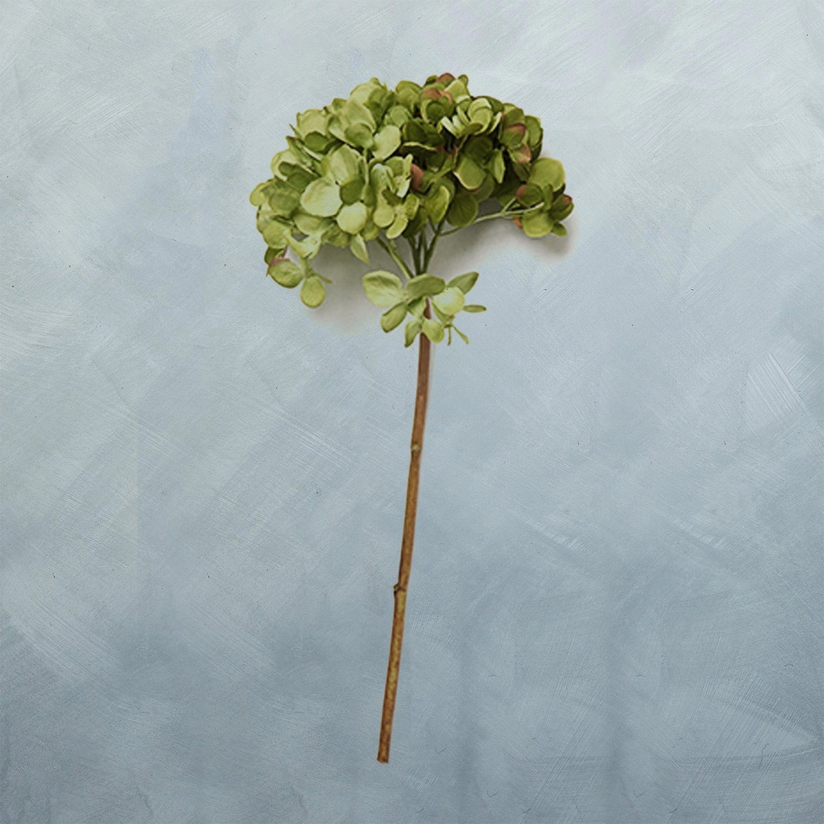 Abigail Ahern Hydrangea Green - Artificial Stem