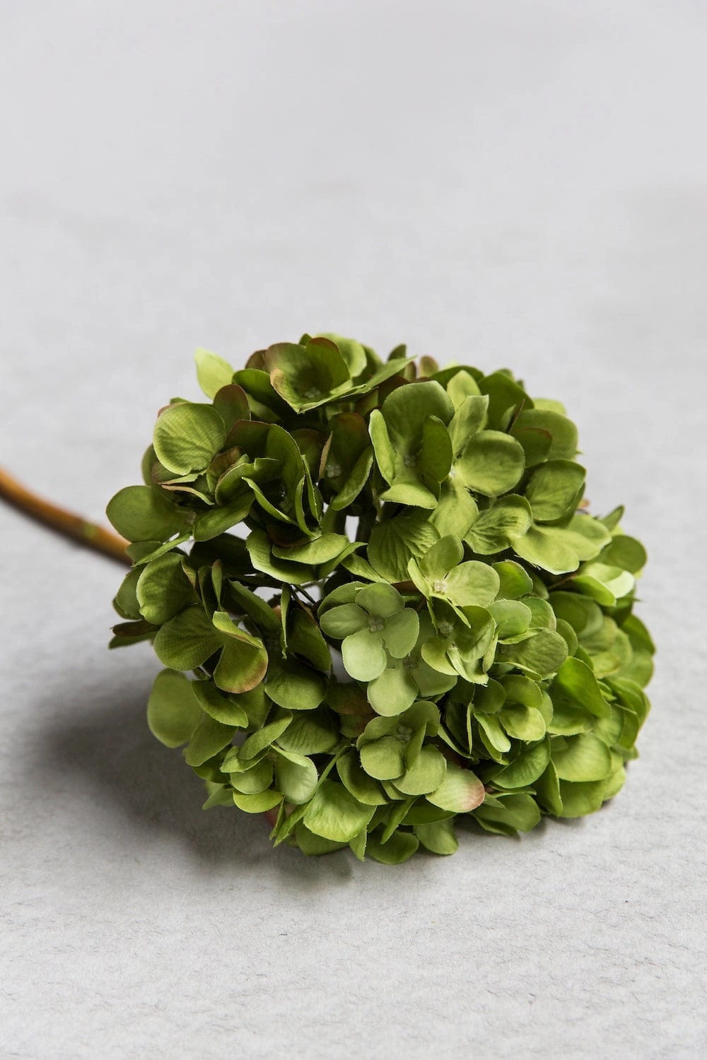Abigail Ahern Hydrangea Green - Artificial Stem