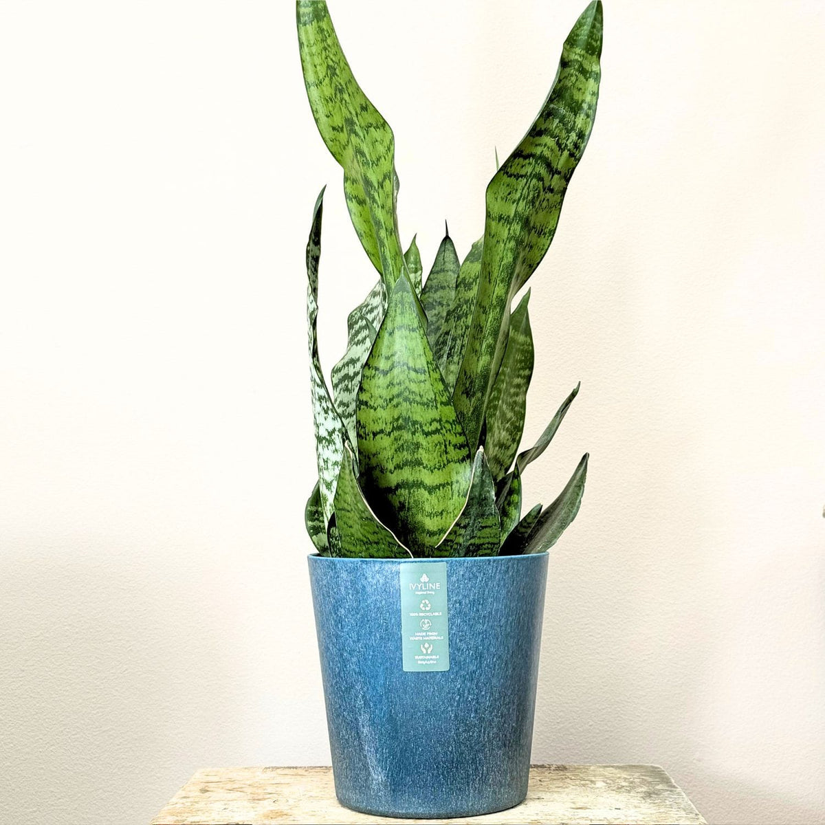 Pula Lightweight Recyclable Planter