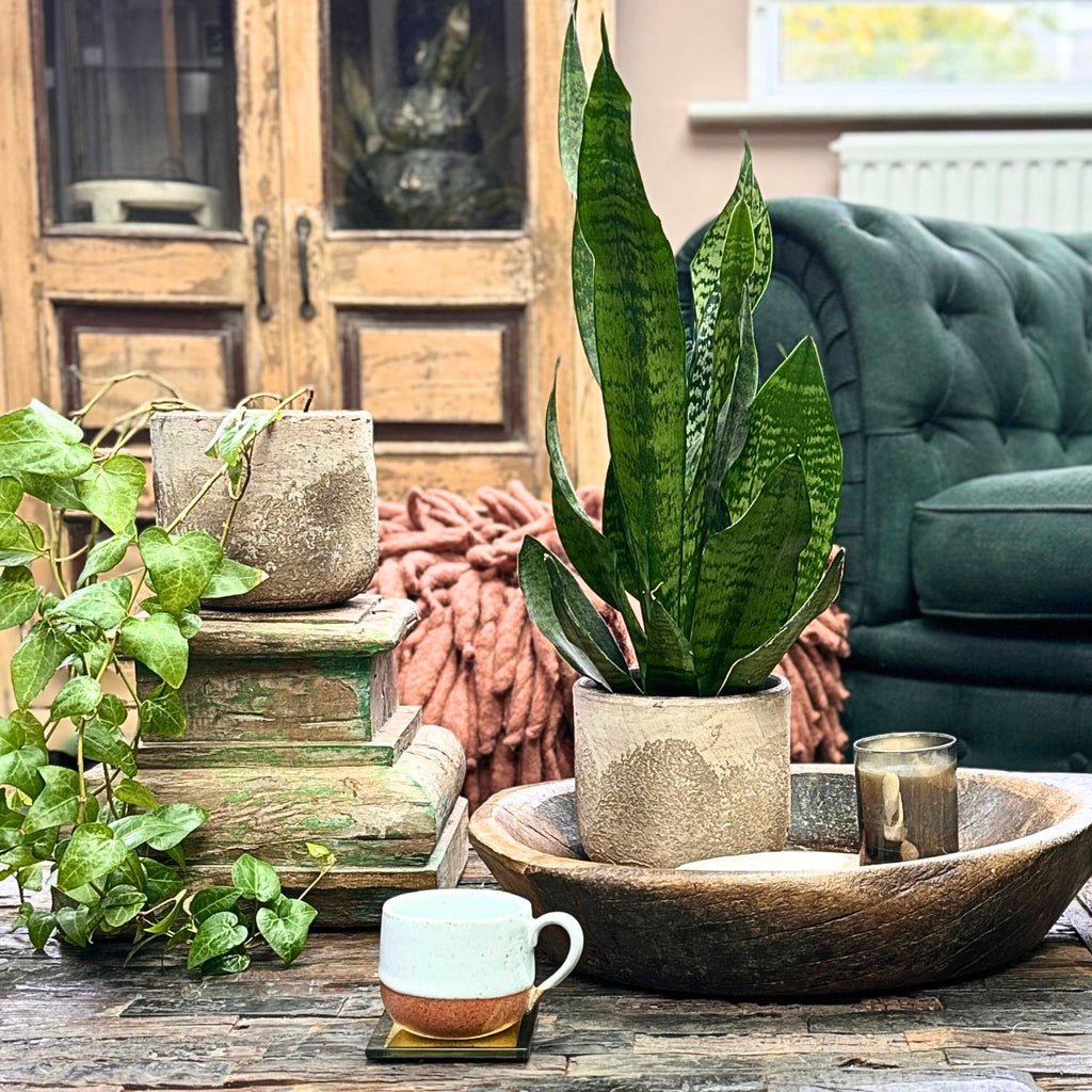 Large Pillar Base Candle Stand