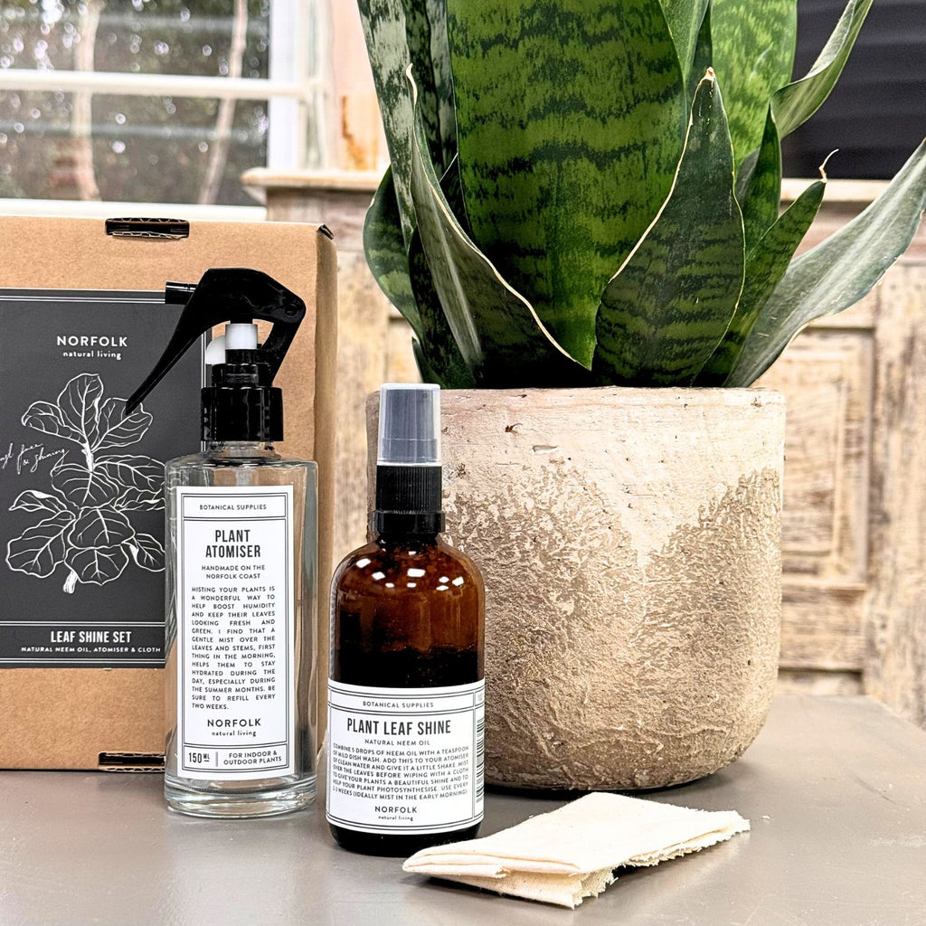 Leaf Shine Set