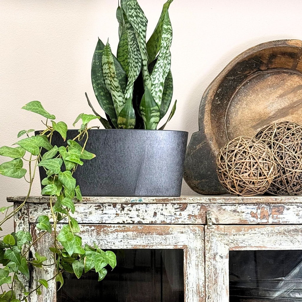 Pula Recyclable Trio Planter
