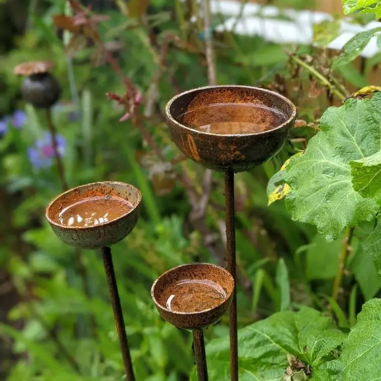 Rain Catcher | Plant Support - Extra Large