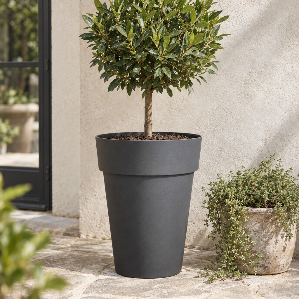Charcoal Cleo High recycled planter with a bay standard on a terrace