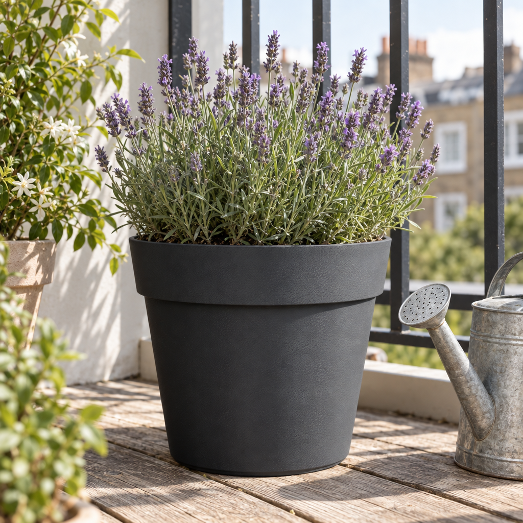 Charcoal Cleo recycled planter with lavender on a London balcony