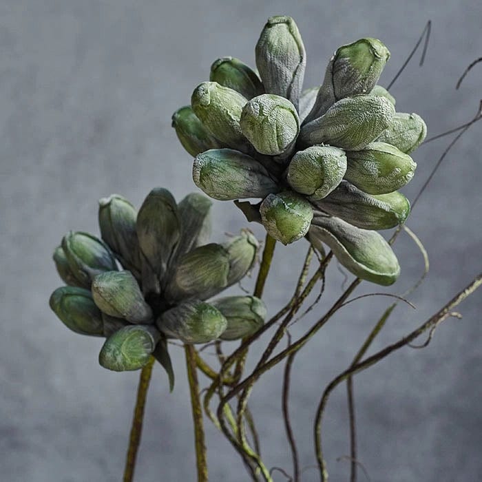 Abigail Ahern Seafoam Thistle Stem - Artificial Stem