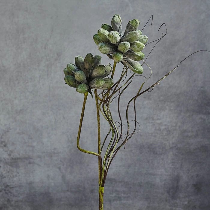 Abigail Ahern Seafoam Thistle Stem - Artificial Stem