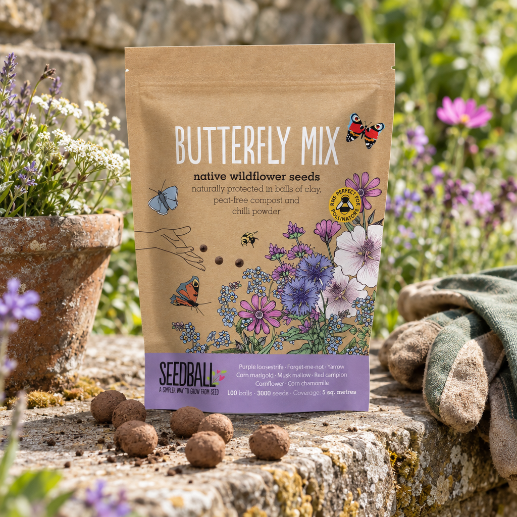 Seedball Butterfly Mix wildflower seed ball pouch on a garden wall
