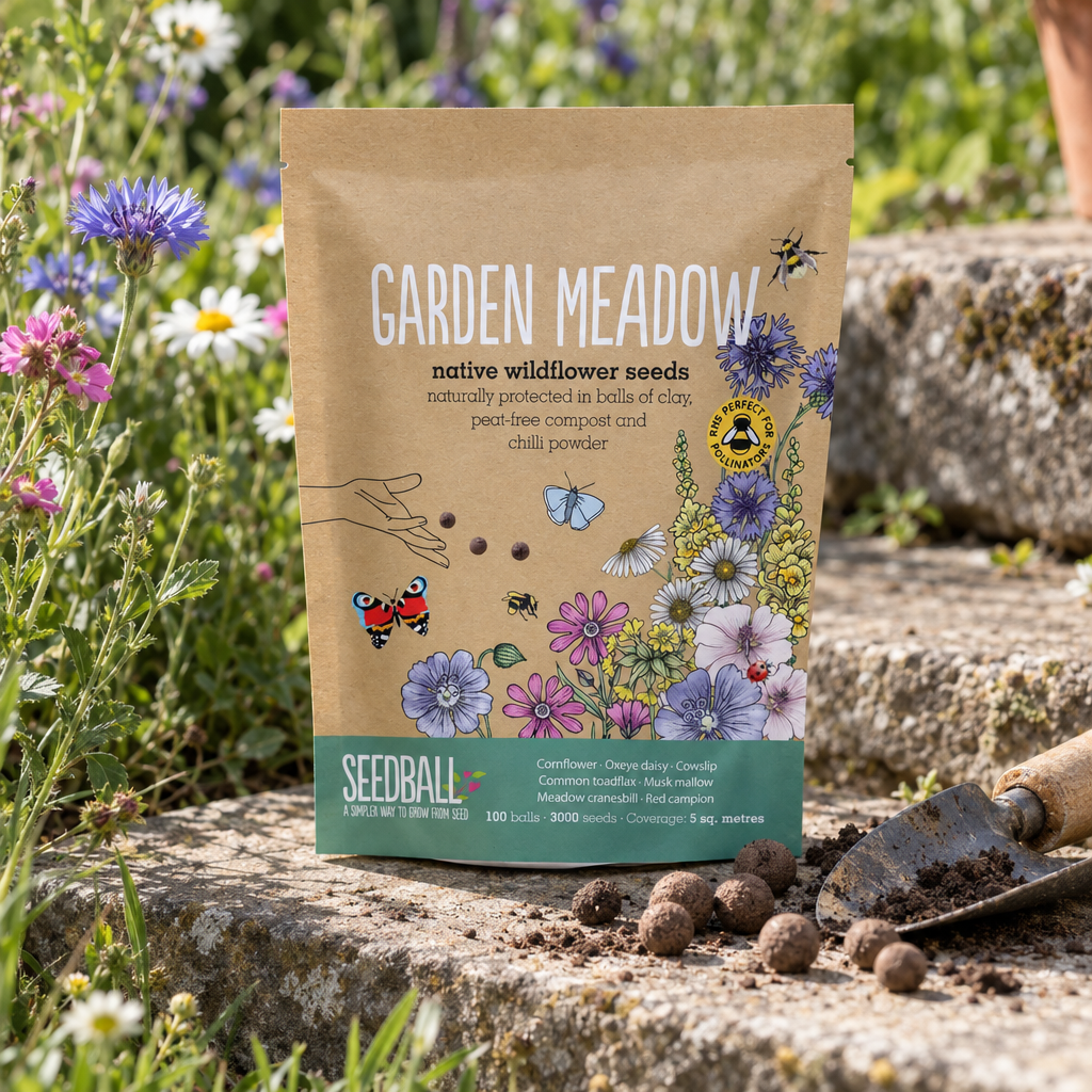 Seedball Garden Meadow wildflower seed ball pouch on a stone step
