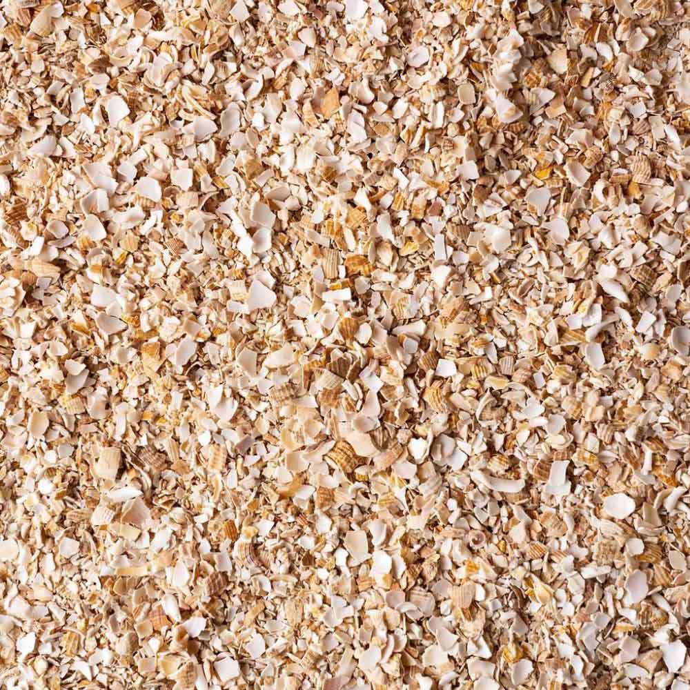 Shell On Earth - Crushed Whelk Shells