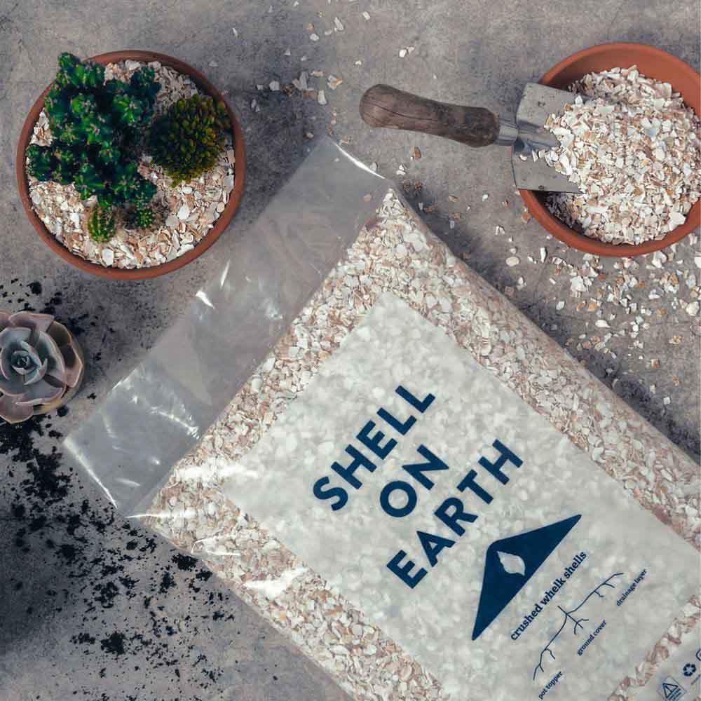 Shell On Earth - Crushed Whelk Shells