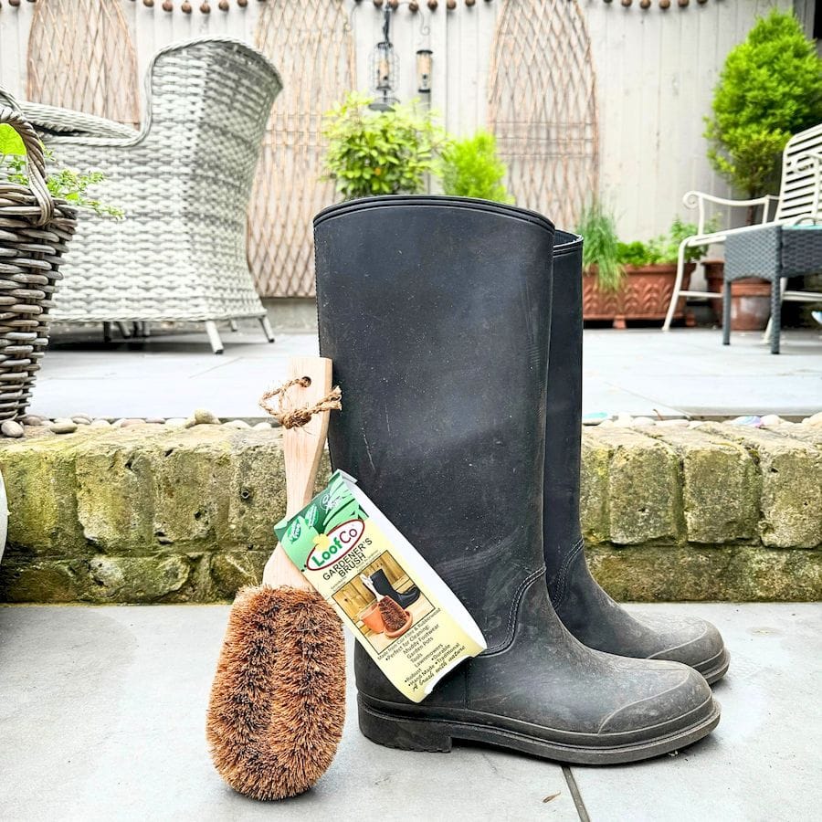 Gardener's Brush | Coconut Fibre & Rubberwood